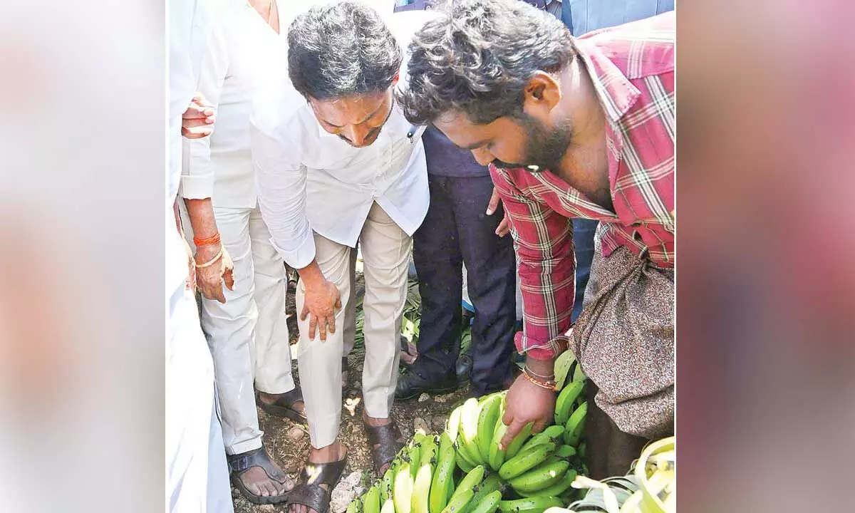 Jagan demands immediate compensation to affected ryots Jagan demands immediate compensation to affected ryots