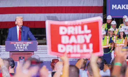 ‘The Threat Is Extremely Real’: Alarm over Trump ‘Energy Emergency’