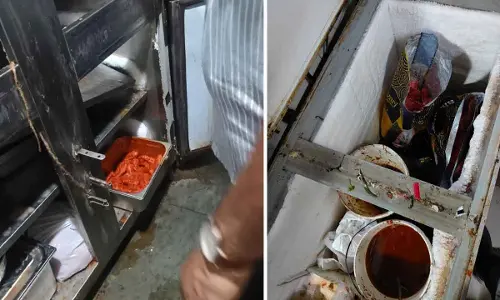Insects, cockroaches greet food safety officials during raid on popular eateries