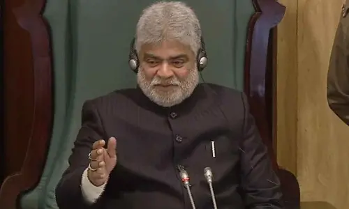 Speaker flags concern over conocarpus plants