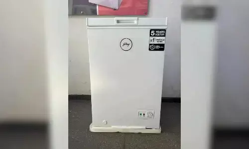 Why Choose Godrej Hard Top Deep Freezers for Your Business?