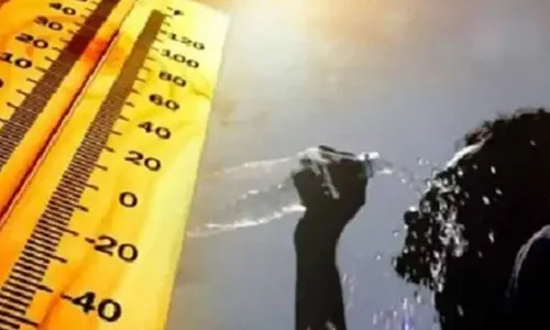 TN govt lists measures to tackle rising heatwave risk