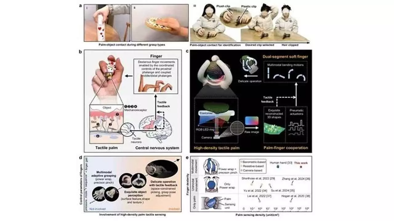 Scientists develop human-like robotic hand with smart palm-finger coordination Scientists develop human-like robotic hand with smart palm-finger coordination