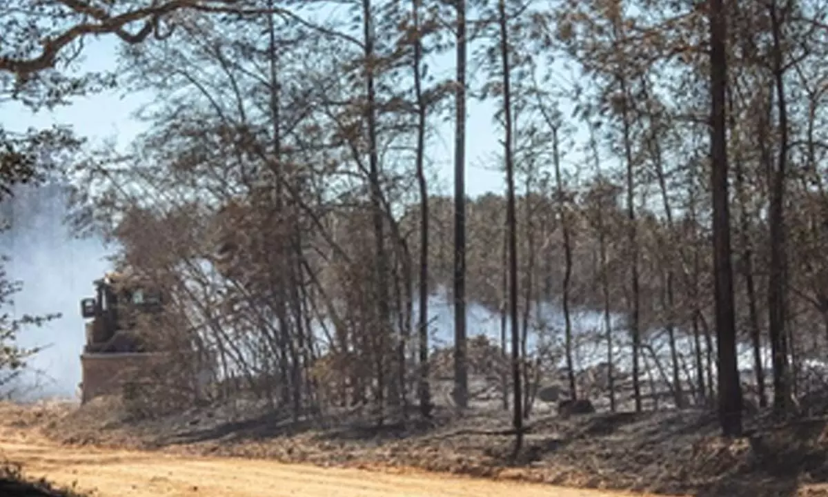 US wildfires lead to evacuations as dozens of homes burnt in Carolinas