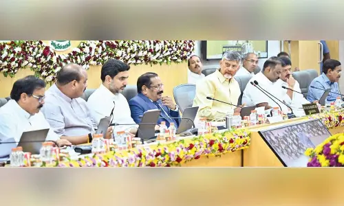 Focus on tourism projects