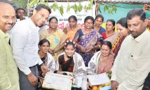 Girl child is a blessing to family: Collector