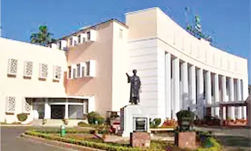 Rape cases up, murder cases down in 2024: White Paper