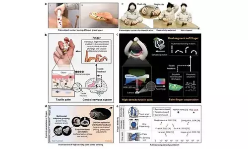 Scientists develop human-like robotic hand with smart palm-finger coordination