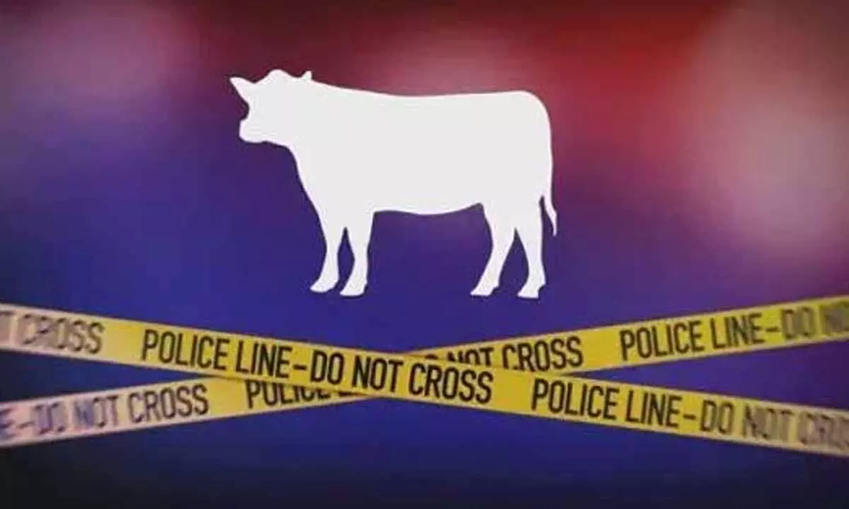 Police Seize Vehicle Carrying Illegally Transported Cattle Near Mangalore, Two Suspects Identified Police Seize Vehicle Carrying Illegally Transported Cattle Near Mangalore, Two Suspects Identified