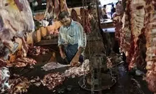 Govt bans illegal meat sale from pavements