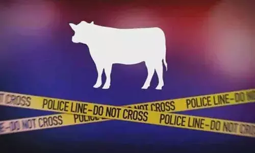 Police Seize Vehicle Carrying Illegally Transported Cattle Near Mangalore, Two Suspects Identified