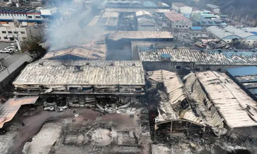 US offers condolences to South Korea over wildfires, pledges all support needed