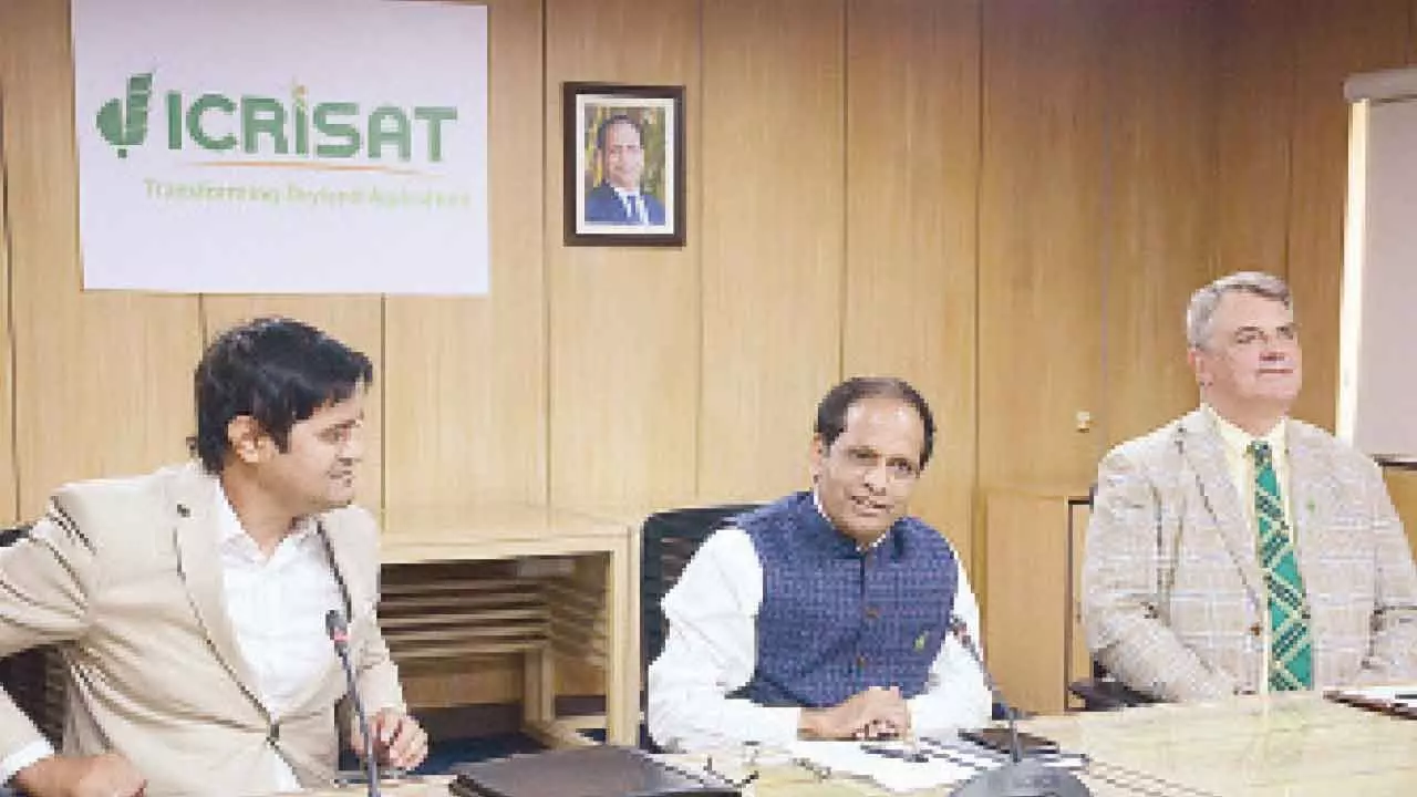 ICRISAT launches Plant Health Detector app ICRISAT launches Plant Health Detector app