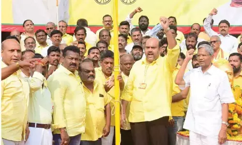 TDP formation day celebrated