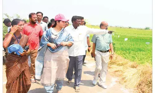‘promote natural farming in Nandyal dist’