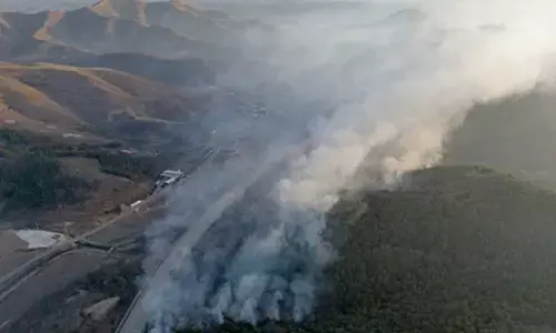 South Korea: Worst-ever wildfires contained in Gyeongsang provinces