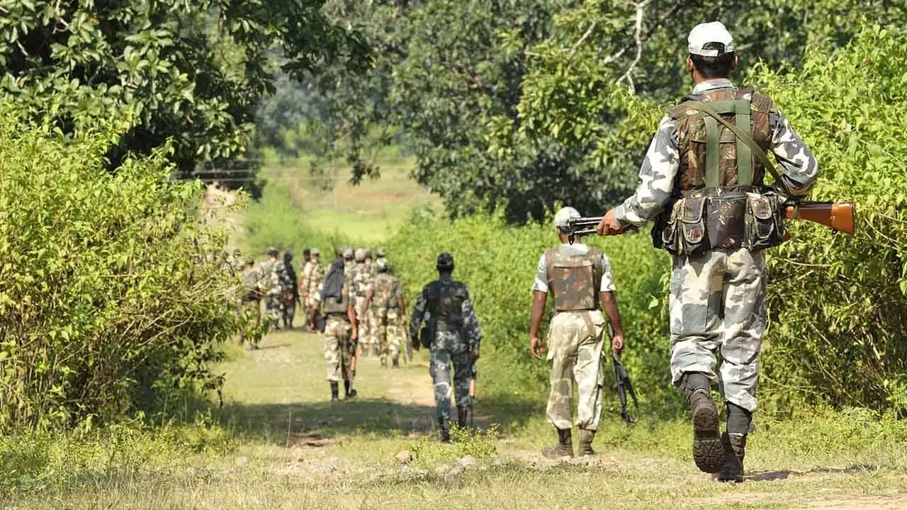 Senior Woman Maoist Leader Killed In Chhattisgarh Encounter Senior Woman Maoist Leader Killed In Chhattisgarh Encounter