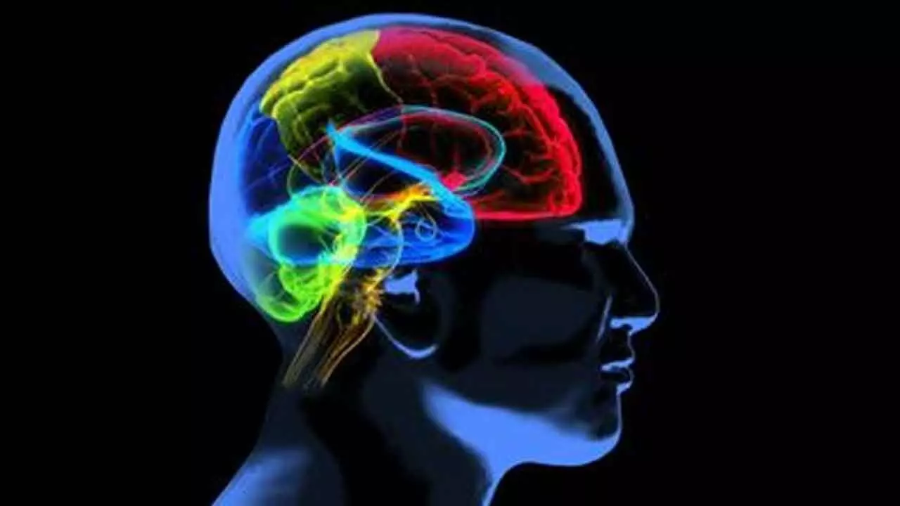 Study explains why loss of smell is associated with Alzheimers disease Study explains why loss of smell is associated with Alzheimers disease