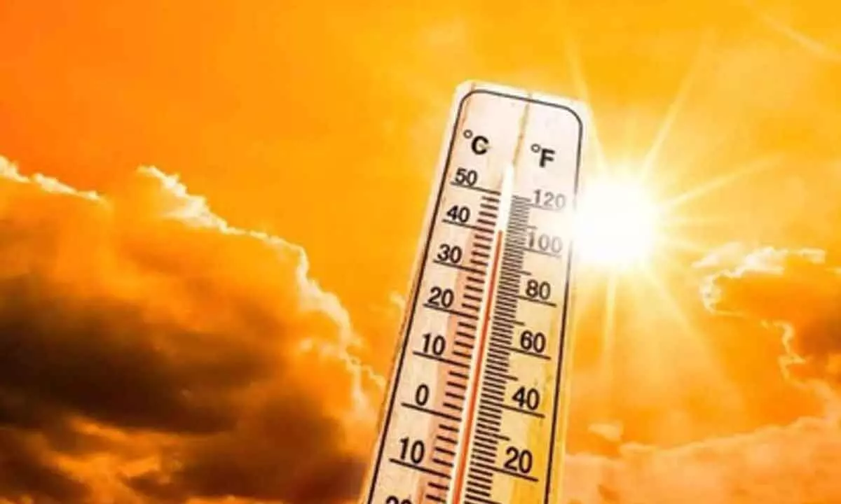 IMD warns of exceptionally hot summer: Record heatwave days expected