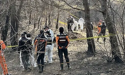 On-site probe begins into point of ignition for South Koreas Uiseong wildfires