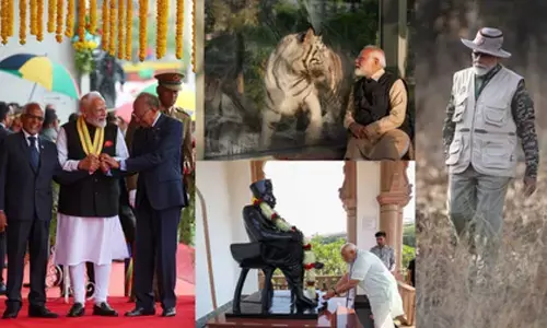 Visit to Mauritius, RSS HQ, Gir Park and more: How PM Modi’s March schedule looked like