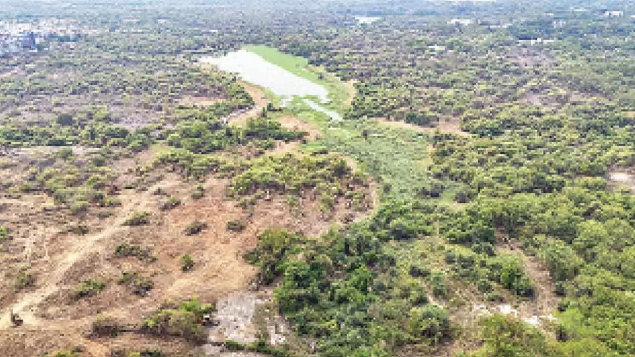 UoH bins TGIIC claim on land demarcation UoH bins TGIIC claim on land demarcation