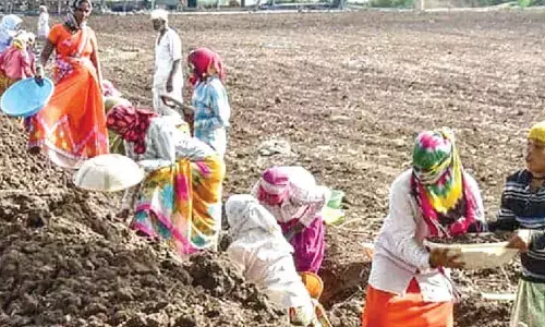 Misappropriation of Rs 669.92 cr under MNREGA in State