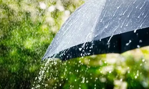 Weather Forecast: Rain and Thunderstorms Expected Across Andhra Pradesh