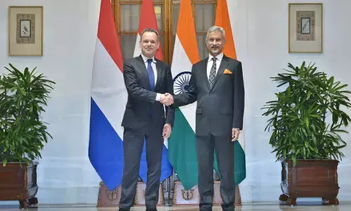 Vast potential of cooperation between India, Netherlands: MEA