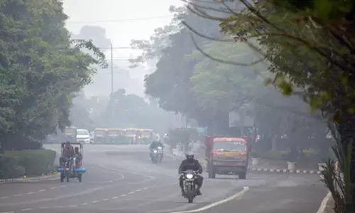 Delhi’s new anti-pollution moves: Will they be enough?