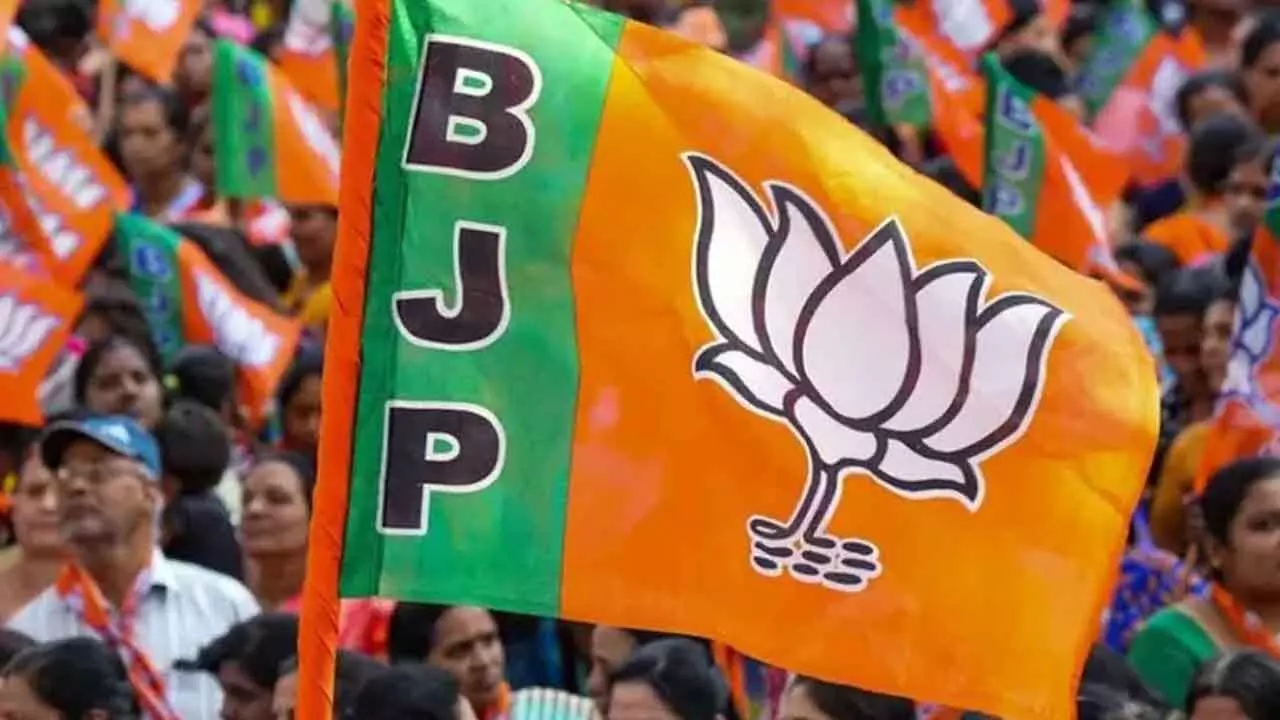 BJP MPs pooh-pooh govt’s legal claims of ownership