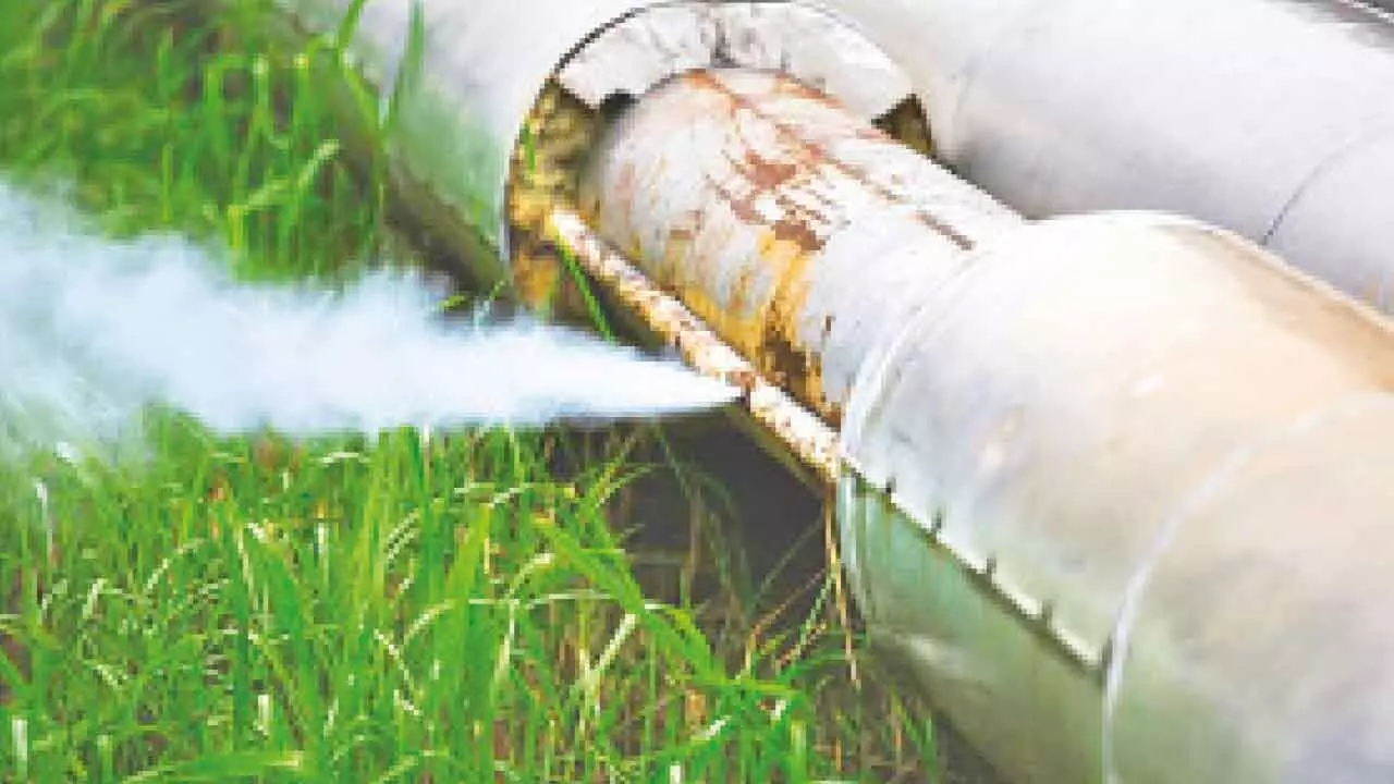 Raj nitrogen gas leak: 3 dead, over 50 sick Raj nitrogen gas leak: 3 dead, over 50 sick