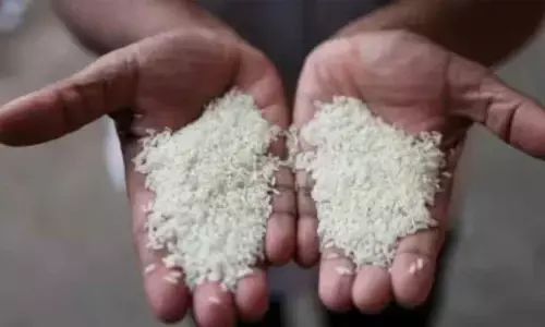 Relief for common man with fine rice supply