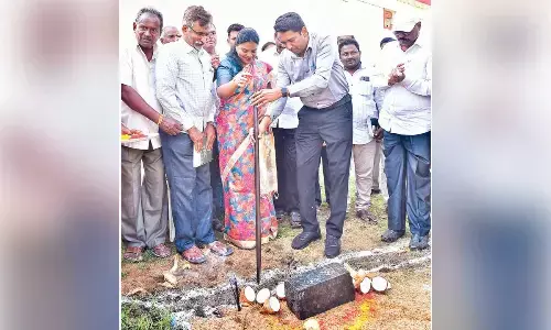 Summer water tubs for animals in 780 habitations