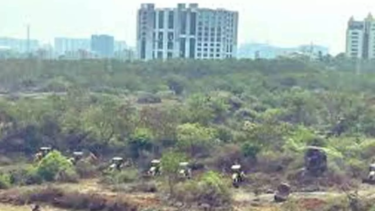 HCU land row: Centre seeks report on loss of green cover HCU land row: Centre seeks report on loss of green cover