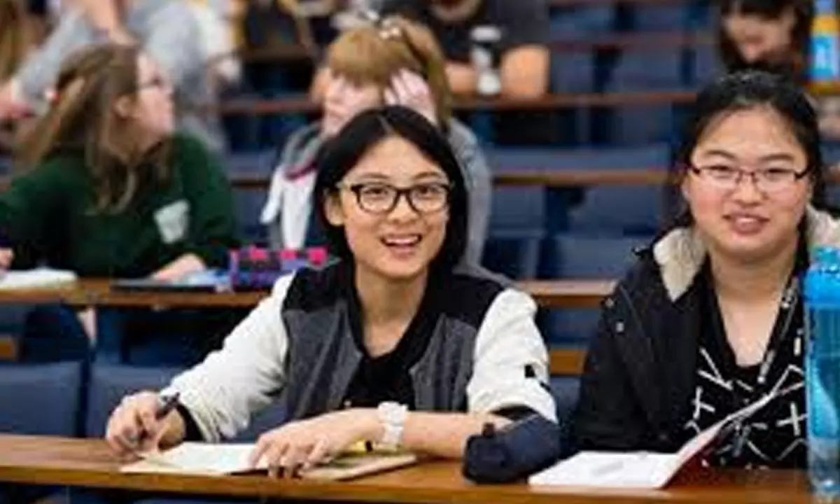 University rankings vs. real-world skills: What matters more for students?