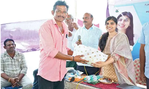 Safety precautions advocated in use of pesticides