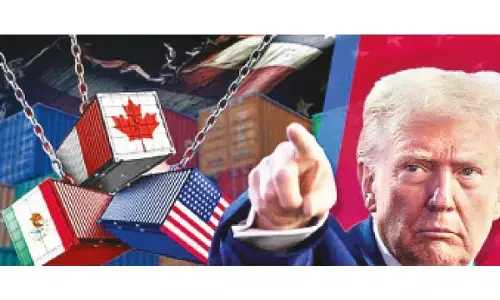 US tariffs to weigh on pharma, agri exports