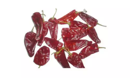 Warangal’s Chapata chilli gets GI tag