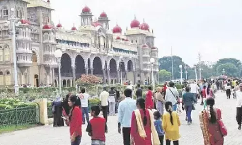 Decline in foreign tourist numbers raises concerns among local families