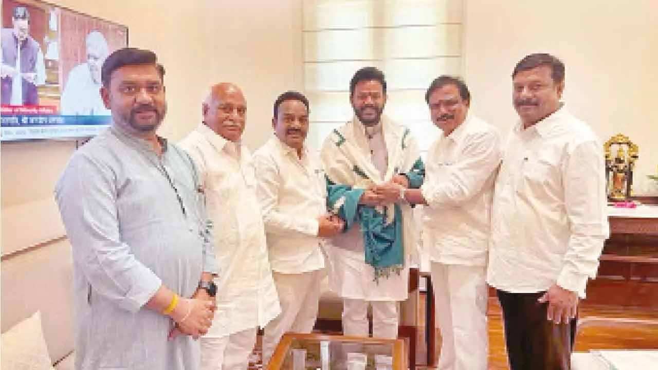 BJP MLA delegation meets Union Ministers