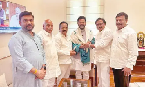BJP MLA delegation meets Union Ministers