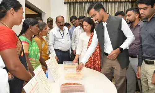 Flipkart-SERP partnership to boost women’s livelihoods