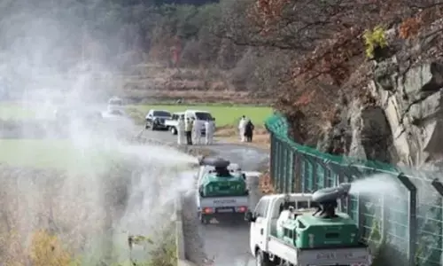 S. Korea reports additional avian influenza cases, total at 46