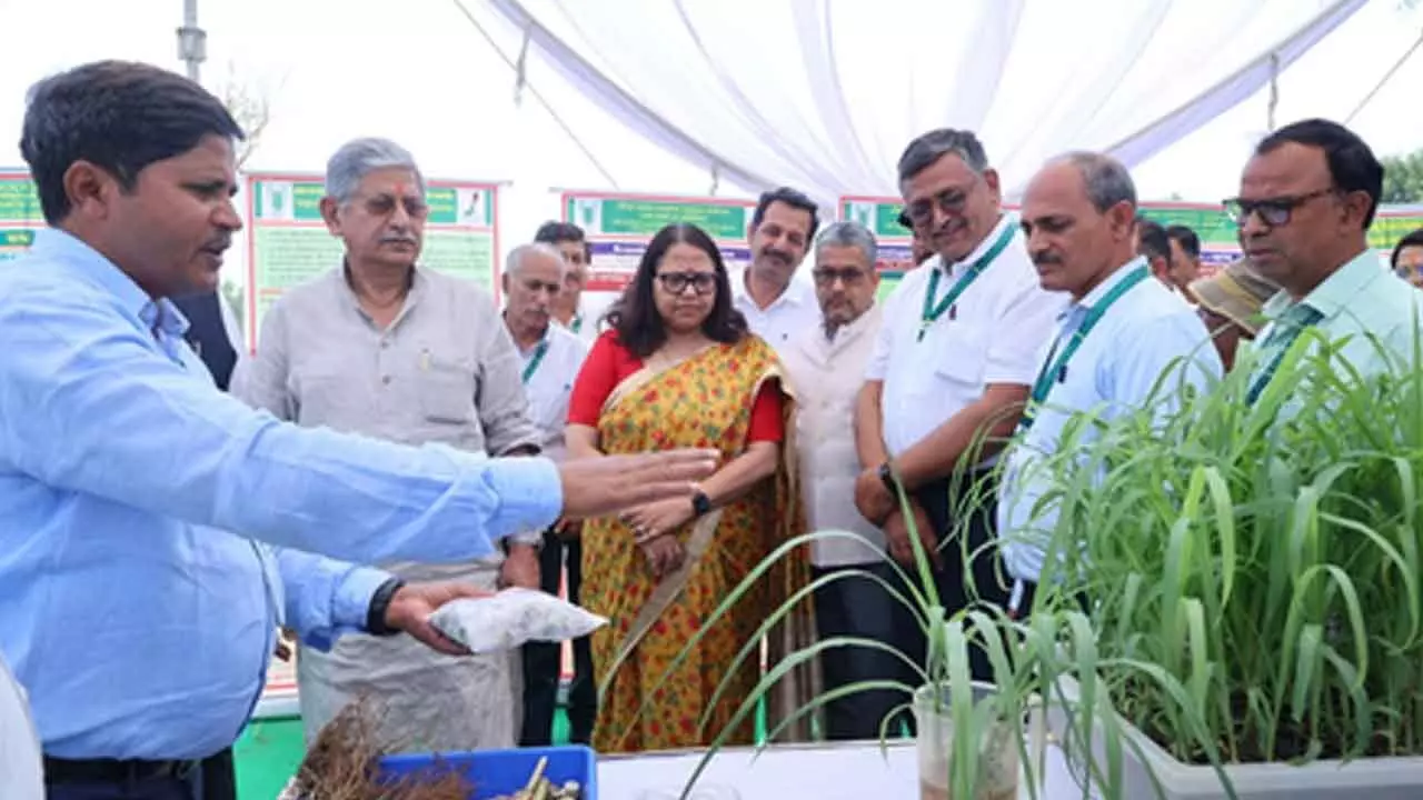 Use tech to meet green fodder deficit: Union Minister Rajiv Ranjan Singh Use tech to meet green fodder deficit: Union Minister Rajiv Ranjan Singh
