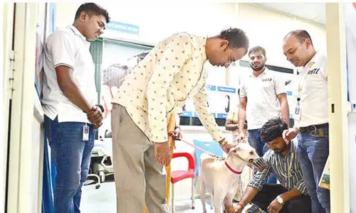 AMTZ completes its first ever prosthetic limb fitment for a pet