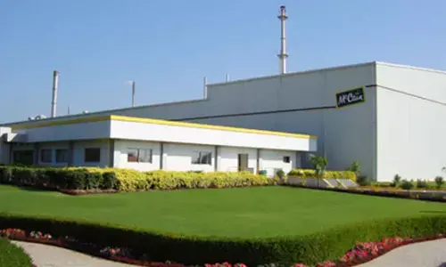 McCain India profit shrinks 29 pc in FY24 amid rising costs