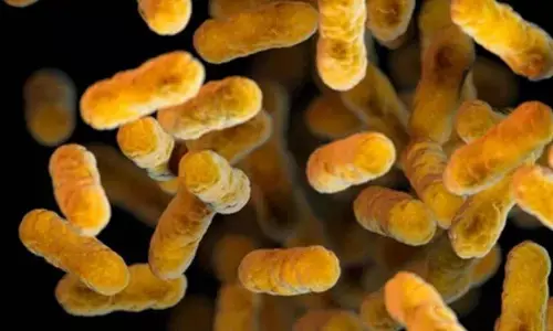 Whooping cough vaccines get a booster by targeting 2 powerful antibodies