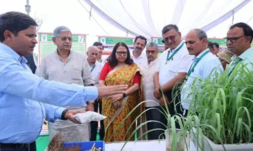 Use tech to meet green fodder deficit: Union Minister Rajiv Ranjan Singh