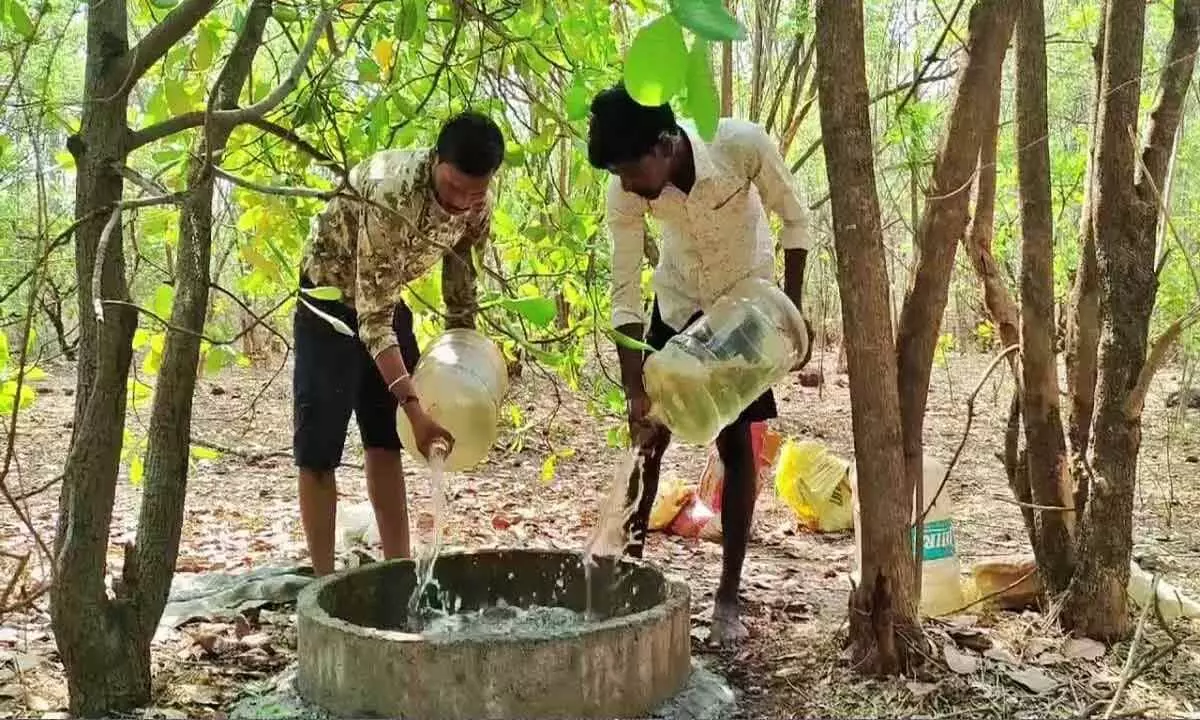 Local youth group steps up to quench thirst of wildlife Local youth group steps up to quench thirst of wildlife